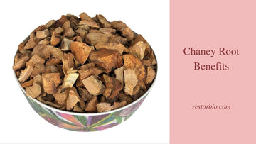 Chaney Root Benefits|Chaney Root Amazon|Chaney Root|Chaney Root Benefits|Chaney Root Brand|Jamaican Chaney Root|Chaney Root Health Benefits
